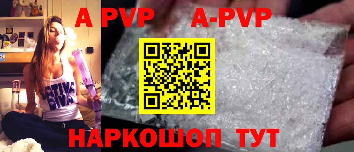 Alfa_PVP СК Ярославль