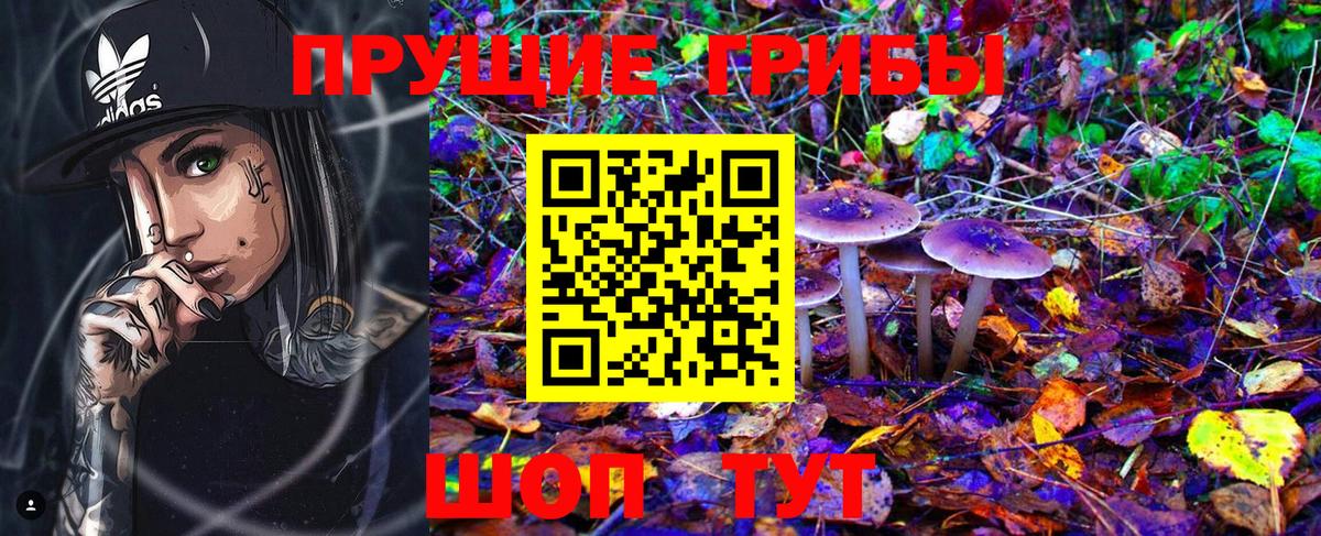 Галлюциногенные грибы Psilocybe Ярославль