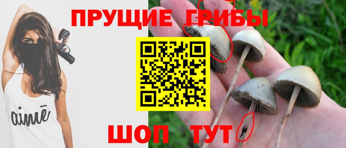 Галлюциногенные грибы ЛСД  Вход с VPN  Ярославль 